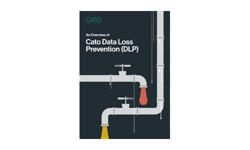 An Overview of Cato Data Loss Prevention (DLP)